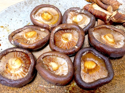 グリルで焼くだけです☆巨大しいたけのおいしい姿焼き